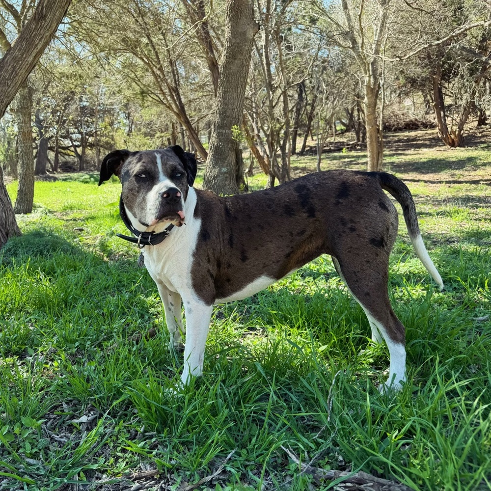 Meet your Posher, Melanie